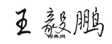 骆恒光王毅鹏行书个性签名怎么写