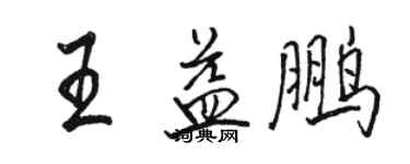 骆恒光王益鹏行书个性签名怎么写