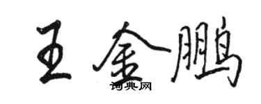 骆恒光王金鹏行书个性签名怎么写