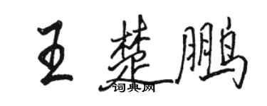 骆恒光王楚鹏行书个性签名怎么写