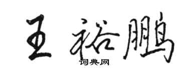骆恒光王裕鹏行书个性签名怎么写