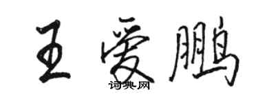 骆恒光王爱鹏行书个性签名怎么写