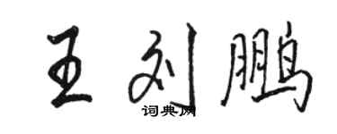 骆恒光王刘鹏行书个性签名怎么写
