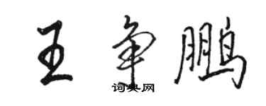 骆恒光王争鹏行书个性签名怎么写
