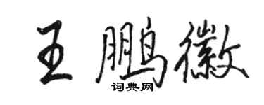 骆恒光王鹏徽行书个性签名怎么写