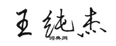 骆恒光王纯杰行书个性签名怎么写