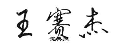 骆恒光王赛杰行书个性签名怎么写