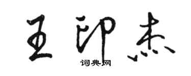 骆恒光王印杰行书个性签名怎么写