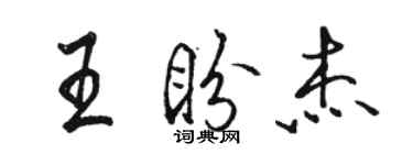 骆恒光王盼杰行书个性签名怎么写