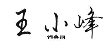 骆恒光王小峰行书个性签名怎么写