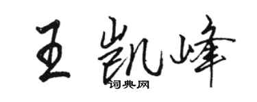 骆恒光王凯峰行书个性签名怎么写
