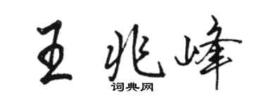 骆恒光王兆峰行书个性签名怎么写