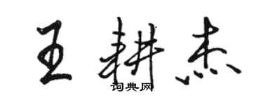 骆恒光王耕杰行书个性签名怎么写