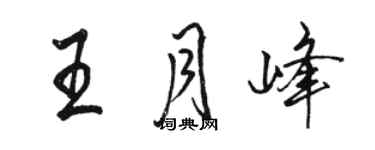骆恒光王月峰行书个性签名怎么写