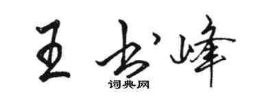 骆恒光王书峰行书个性签名怎么写