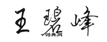 骆恒光王碧峰行书个性签名怎么写