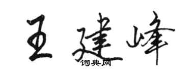 骆恒光王建峰行书个性签名怎么写
