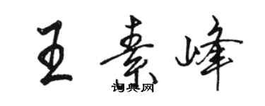 骆恒光王素峰行书个性签名怎么写