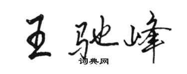 骆恒光王驰峰行书个性签名怎么写