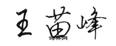 骆恒光王苗峰行书个性签名怎么写