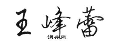 骆恒光王峰蕾行书个性签名怎么写