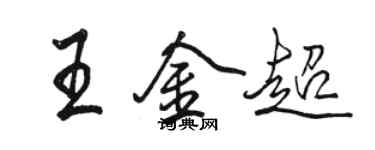 骆恒光王金超行书个性签名怎么写