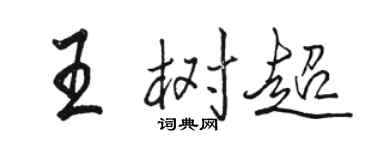 骆恒光王树超行书个性签名怎么写