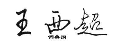 骆恒光王西超行书个性签名怎么写