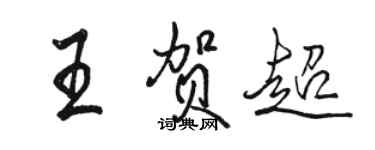 骆恒光王贺超行书个性签名怎么写