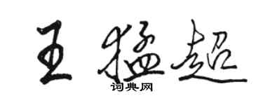 骆恒光王猛超行书个性签名怎么写