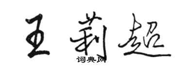 骆恒光王莉超行书个性签名怎么写