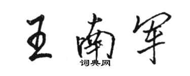 骆恒光王南军行书个性签名怎么写