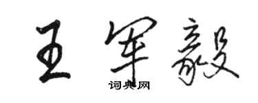 骆恒光王军毅行书个性签名怎么写