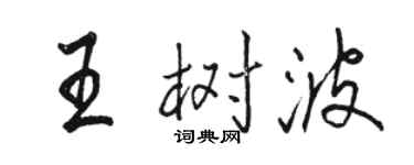 骆恒光王树波行书个性签名怎么写