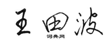 骆恒光王田波行书个性签名怎么写