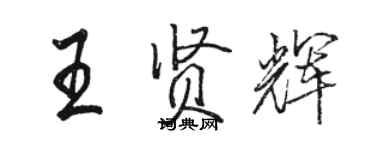 骆恒光王贤辉行书个性签名怎么写