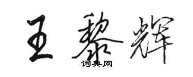骆恒光王黎辉行书个性签名怎么写