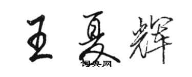 骆恒光王夏辉行书个性签名怎么写