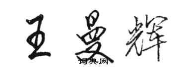 骆恒光王曼辉行书个性签名怎么写