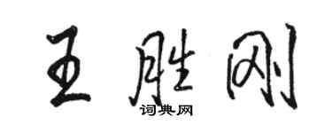 骆恒光王胜刚行书个性签名怎么写