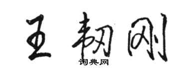 骆恒光王韧刚行书个性签名怎么写