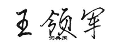 骆恒光王领军行书个性签名怎么写