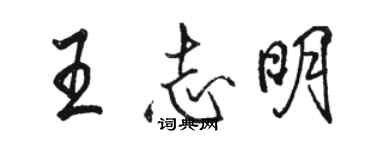 骆恒光王志明行书个性签名怎么写