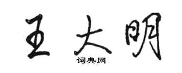 骆恒光王大明行书个性签名怎么写