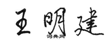 骆恒光王明建行书个性签名怎么写