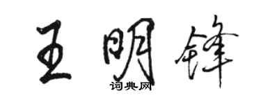骆恒光王明锋行书个性签名怎么写