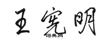骆恒光王宪明行书个性签名怎么写