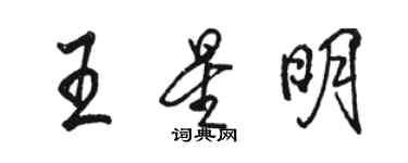 骆恒光王星明行书个性签名怎么写