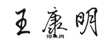骆恒光王康明行书个性签名怎么写