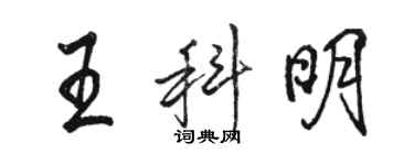骆恒光王科明行书个性签名怎么写
